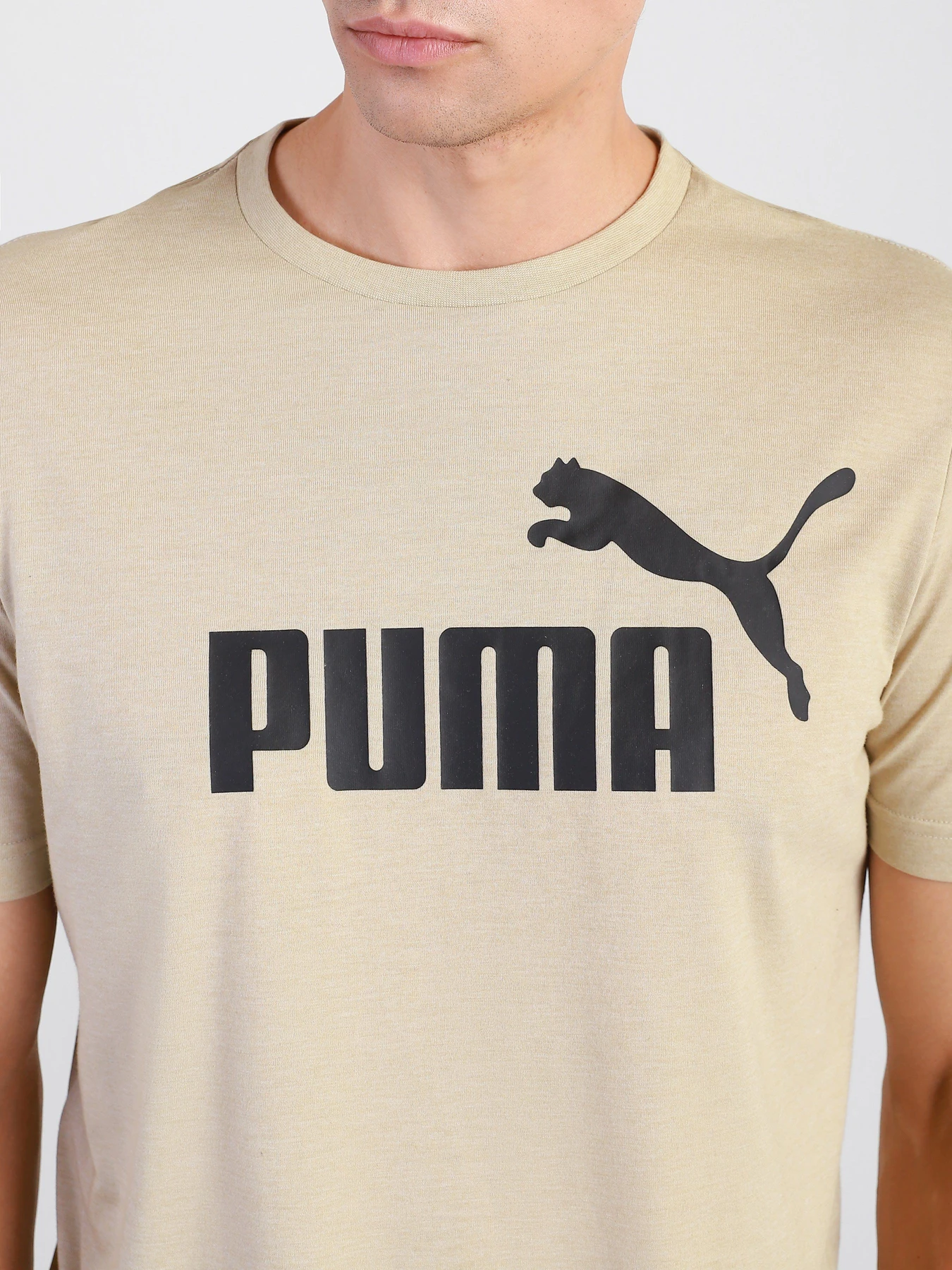 Футболки и поло PUMA ESSENTIALS HEATHER модель 58673642 Футболки и поло PUMA ESSENTIALS HEATHER модель 58673642 Фото
