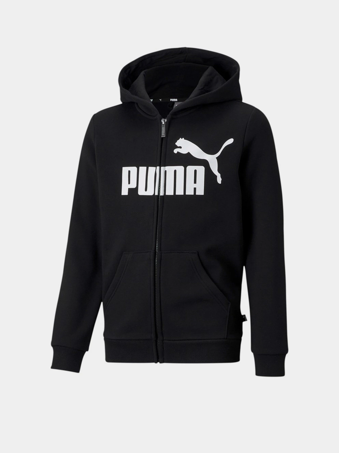 Худи и свитшоты PUMA ESS Big Logo FZ Hoodie FL B модель 58696701 Худи и свитшоты PUMA ESS Big Logo FZ Hoodie FL B модель 58696701 Фото