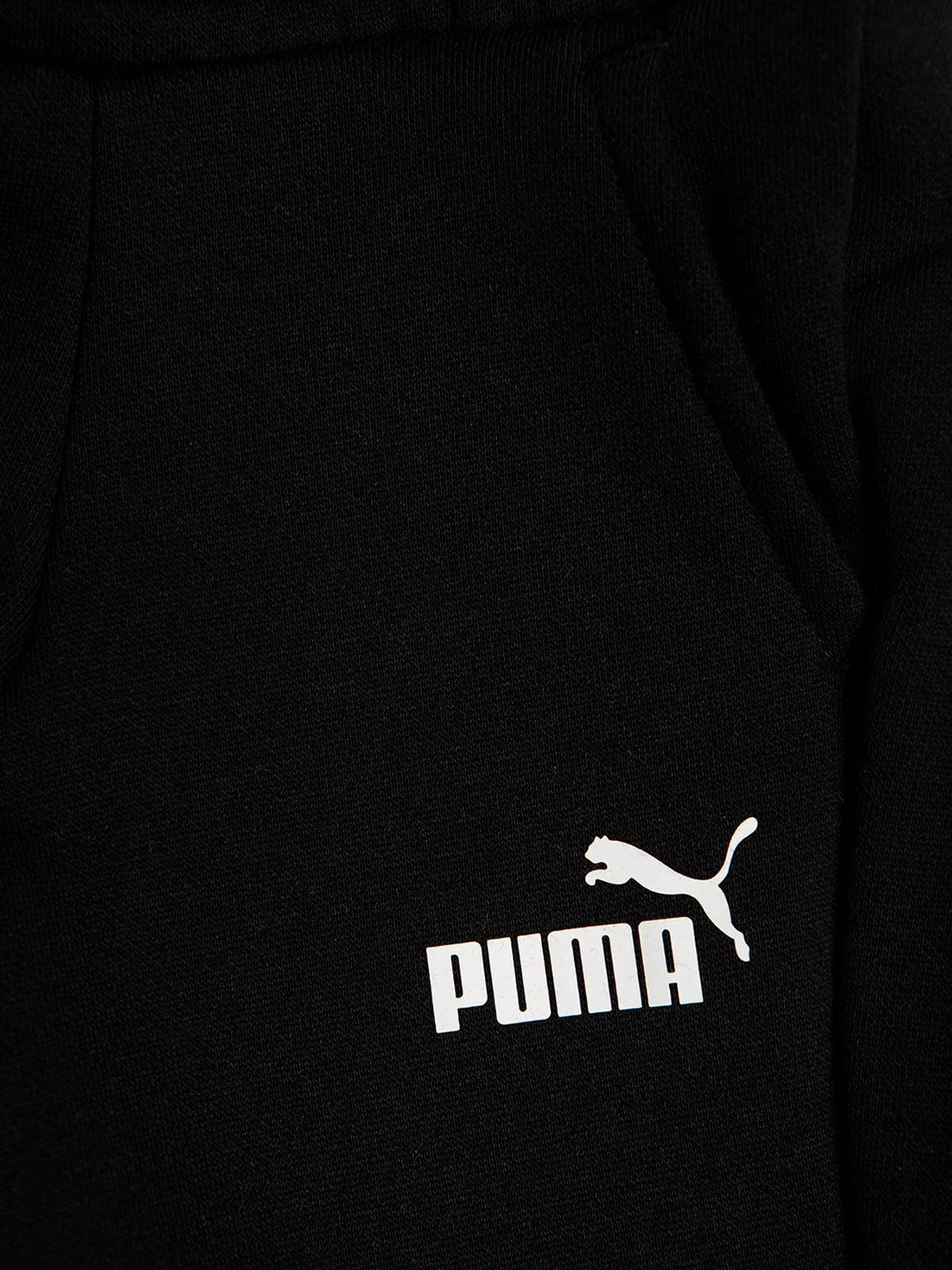 Штани PUMA ESS Logo Pants FL cl B модель 58697301 Фото