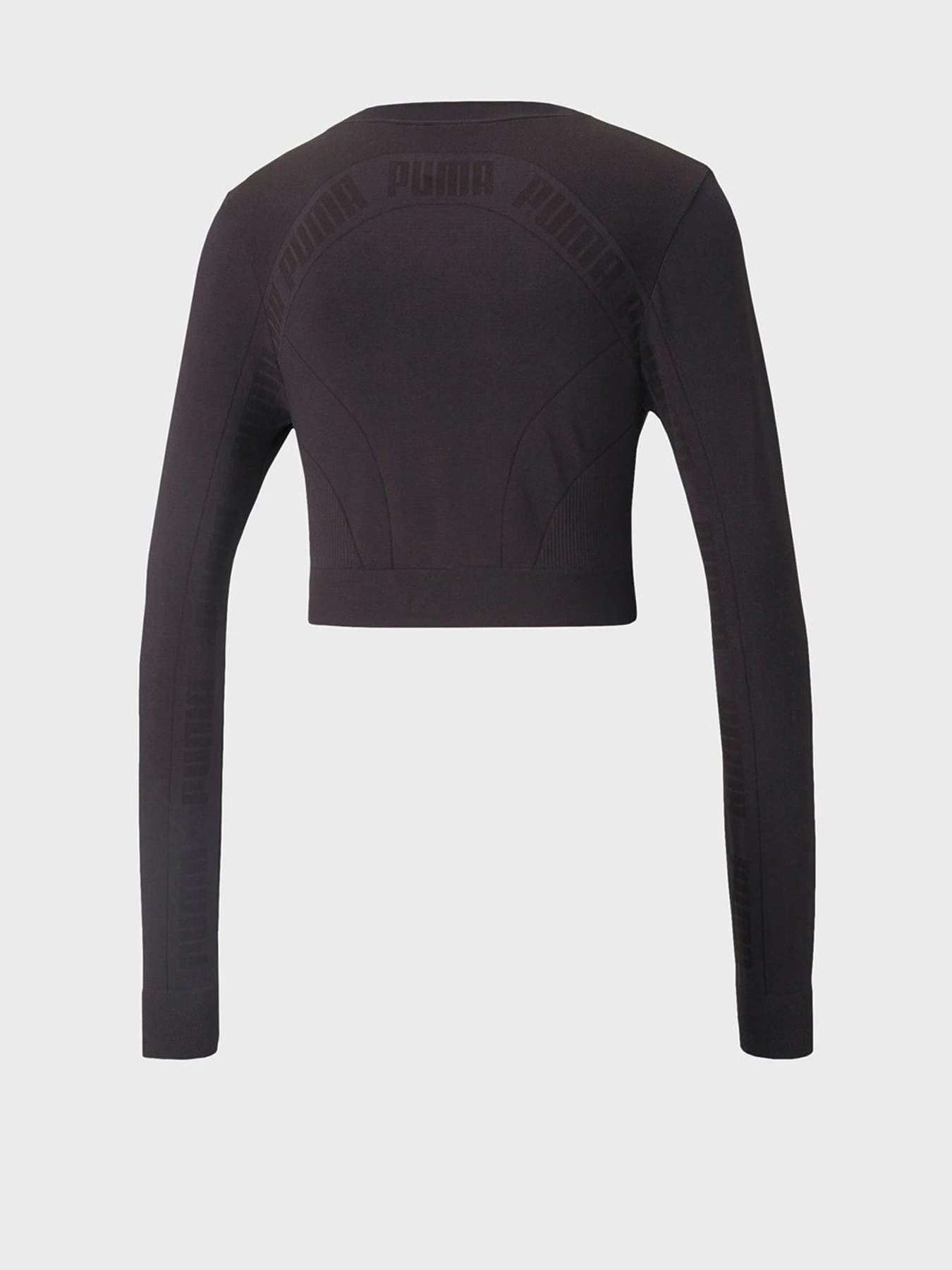 Футболки і поло PUMA Evostripe Evoknit Longsleeve Tee модель 58915401 Фото