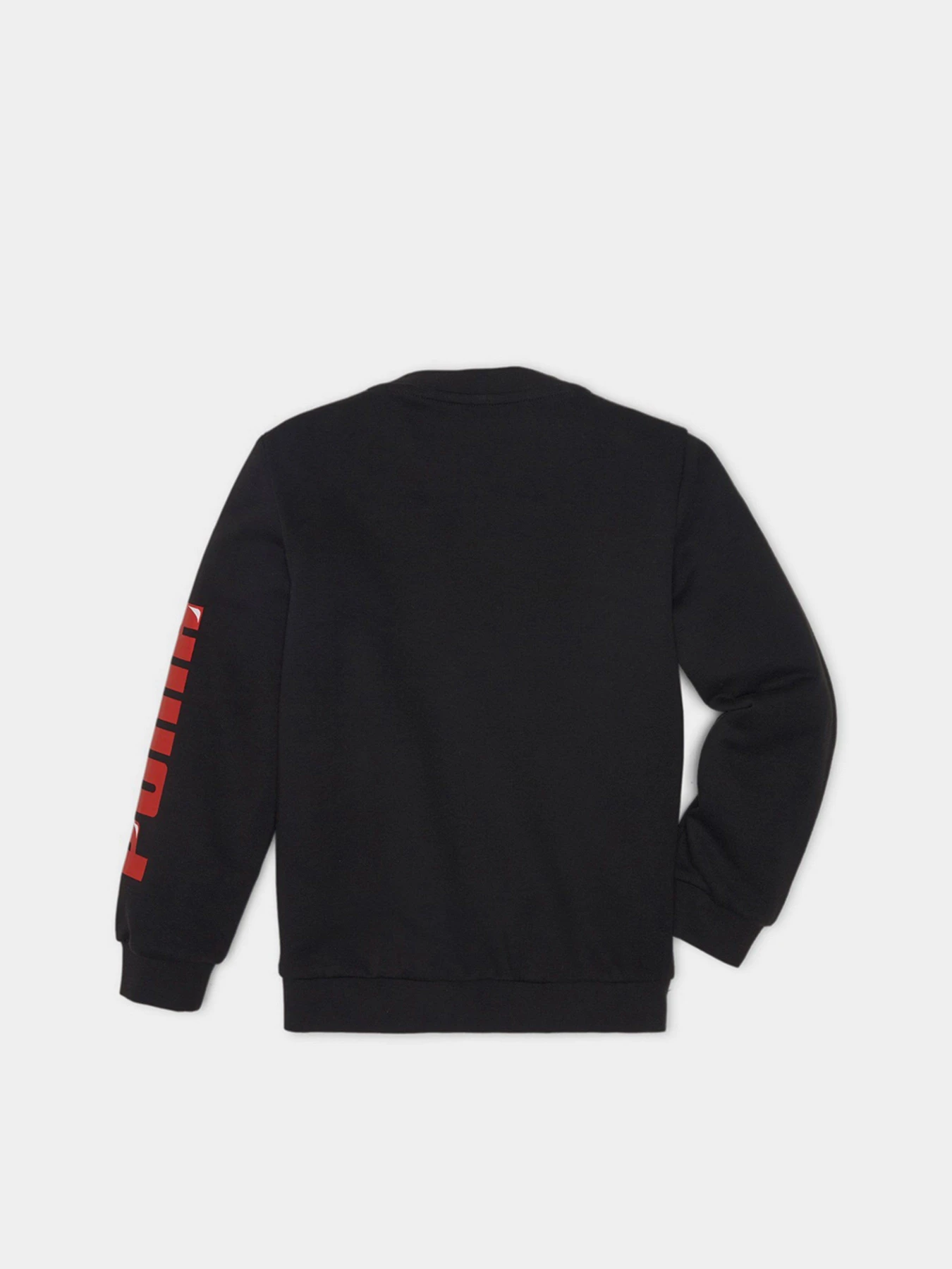 Худі та світшоти PUMA LIL PUMA CREW модель 58925001 Худі та світшоти PUMA LIL PUMA CREW модель 58925001 Фото