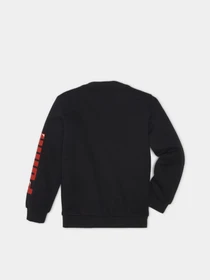 Худі та світшоти PUMA LIL PUMA CREW модель 58925001 Фото