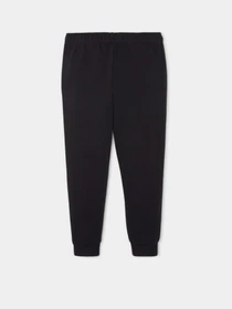 Штани PUMA Lil Sweatpants TR Cl модель 58925101 Фото