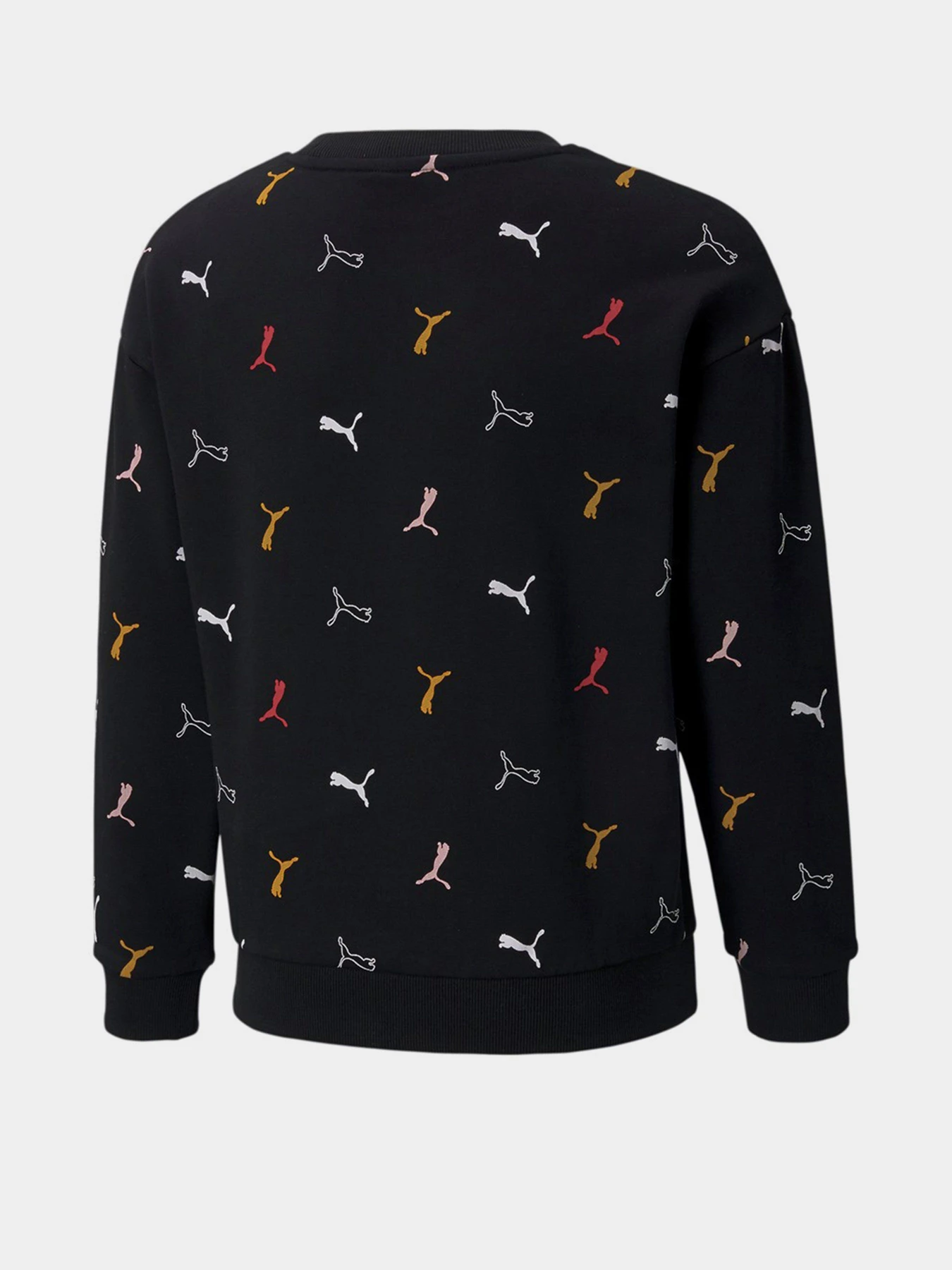 Худі та світшоти PUMA Classics Graphics Crew Neck модель 58928901 Фото
