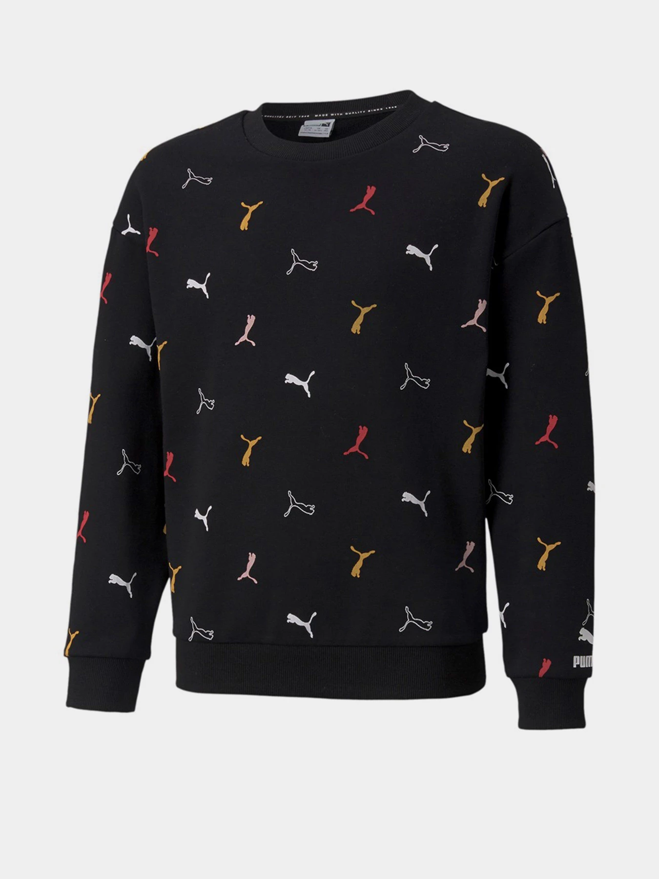 Худі та світшоти PUMA Classics Graphics Crew Neck модель 58928901 Фото