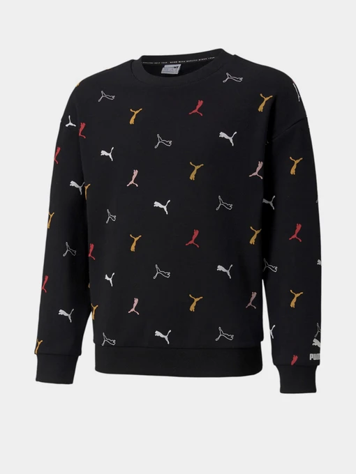 Худі та світшоти PUMA Classics Graphics Crew Neck модель 58928901 Фото