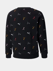 Худі та світшоти PUMA Classics Graphics Crew Neck модель 58928901 Фото