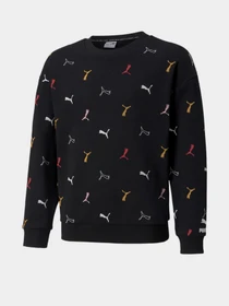 Худі та світшоти PUMA Classics Graphics Crew Neck модель 58928901 Фото