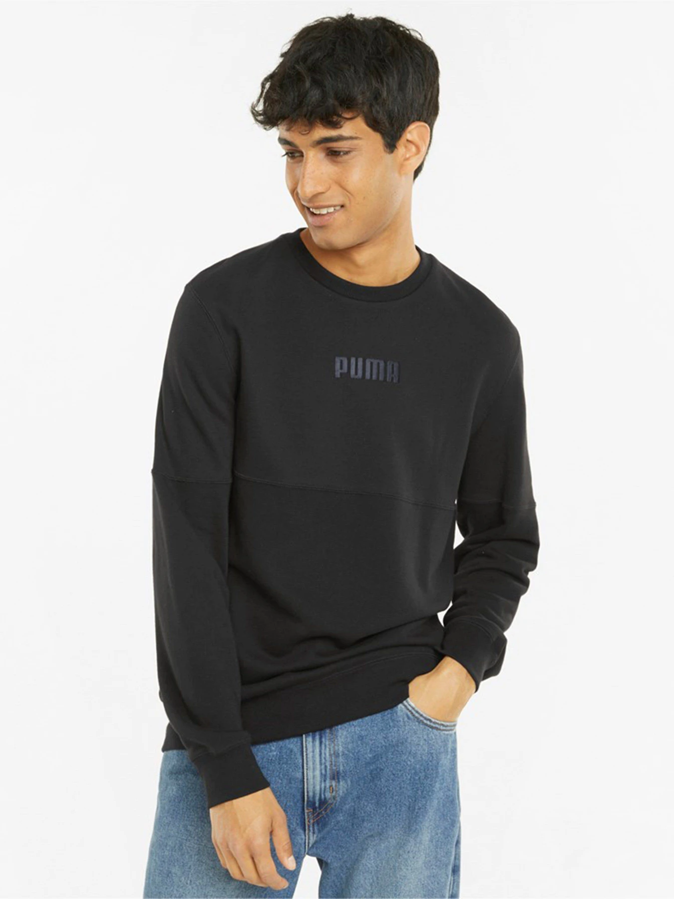 Худі та світшоти PUMA MODERN BASICS Crew TR модель 58934701 Худі та світшоти PUMA MODERN BASICS Crew TR модель 58934701 Фото