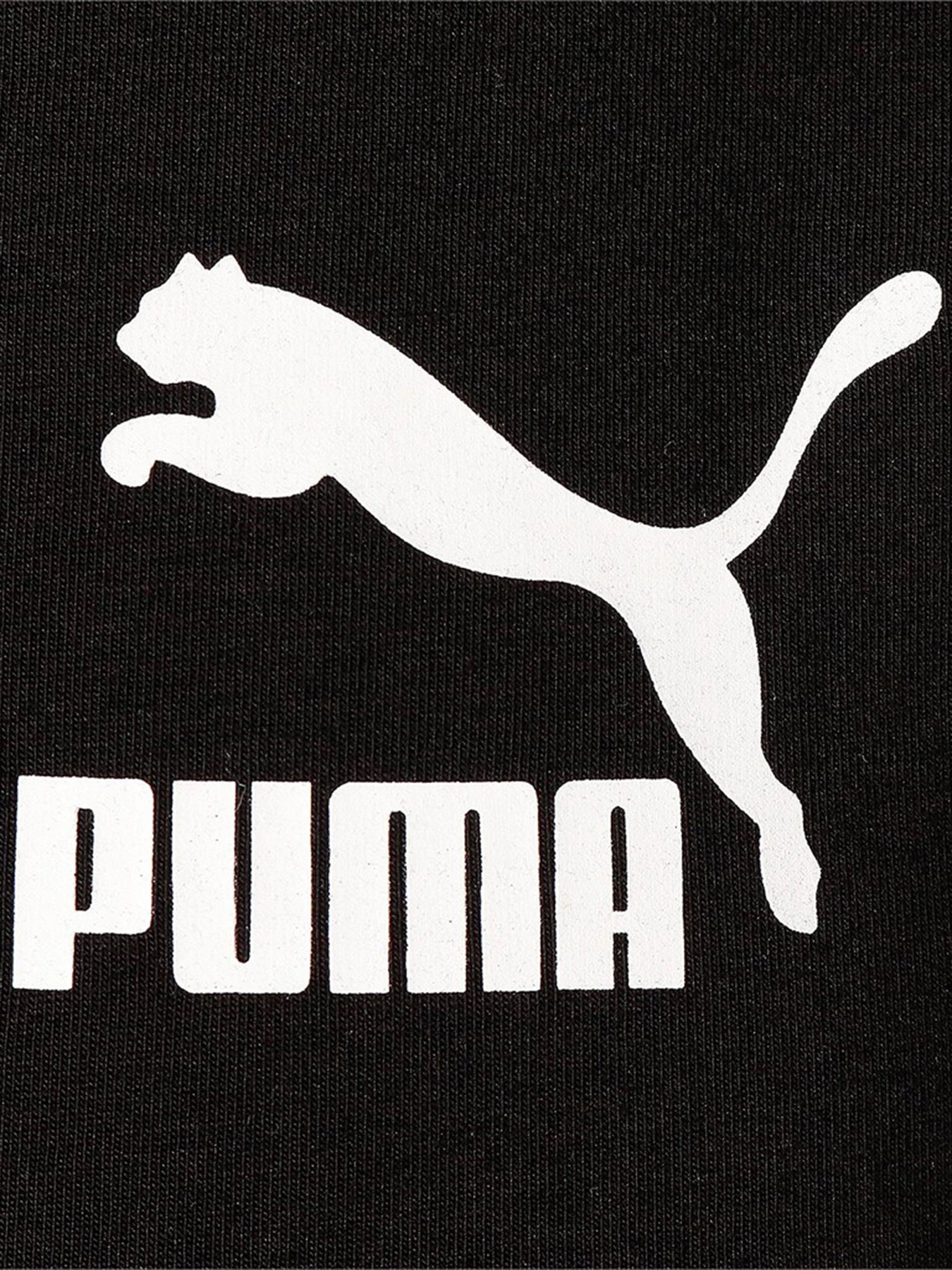 Футболки и поло PUMA Iconic T7 Tee модель 59986901 Фото