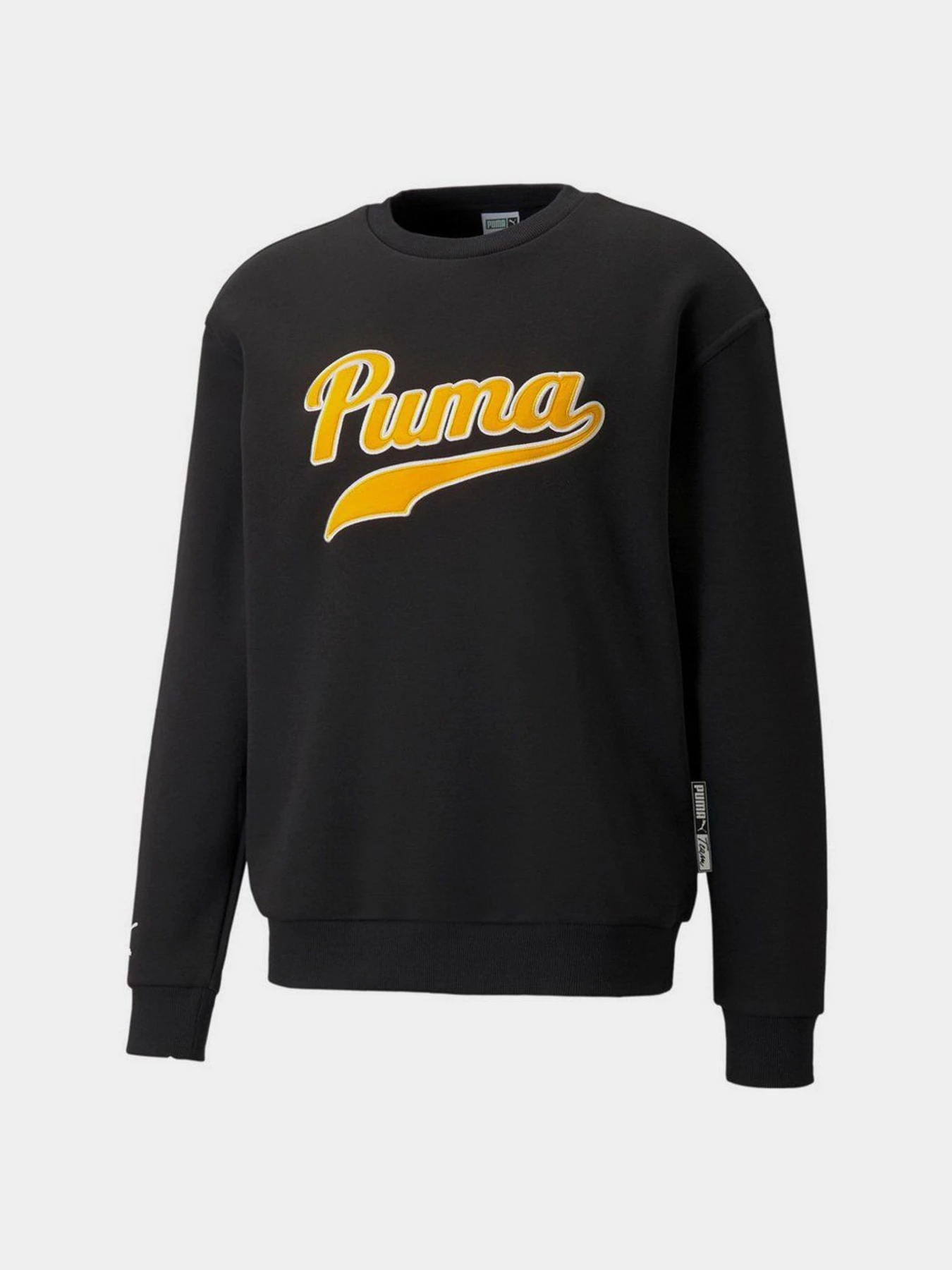 Худи и свитшоты PUMA Team модель 53431401 Худи и свитшоты PUMA Team модель 53431401 Фото