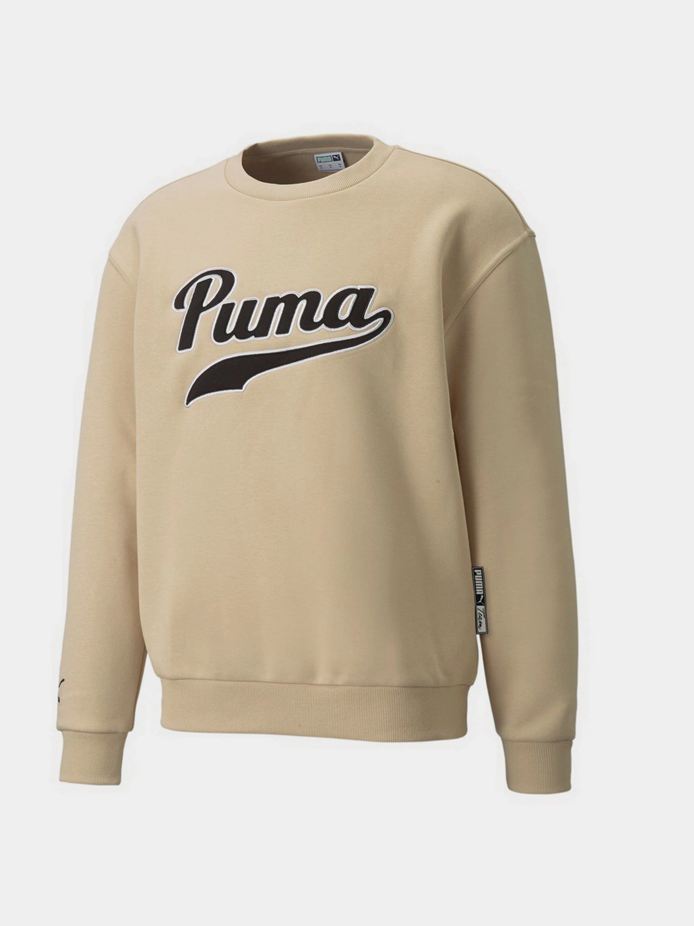 Худи и свитшоты PUMA Team модель 53431420 Худи и свитшоты PUMA Team модель 53431420 Фото