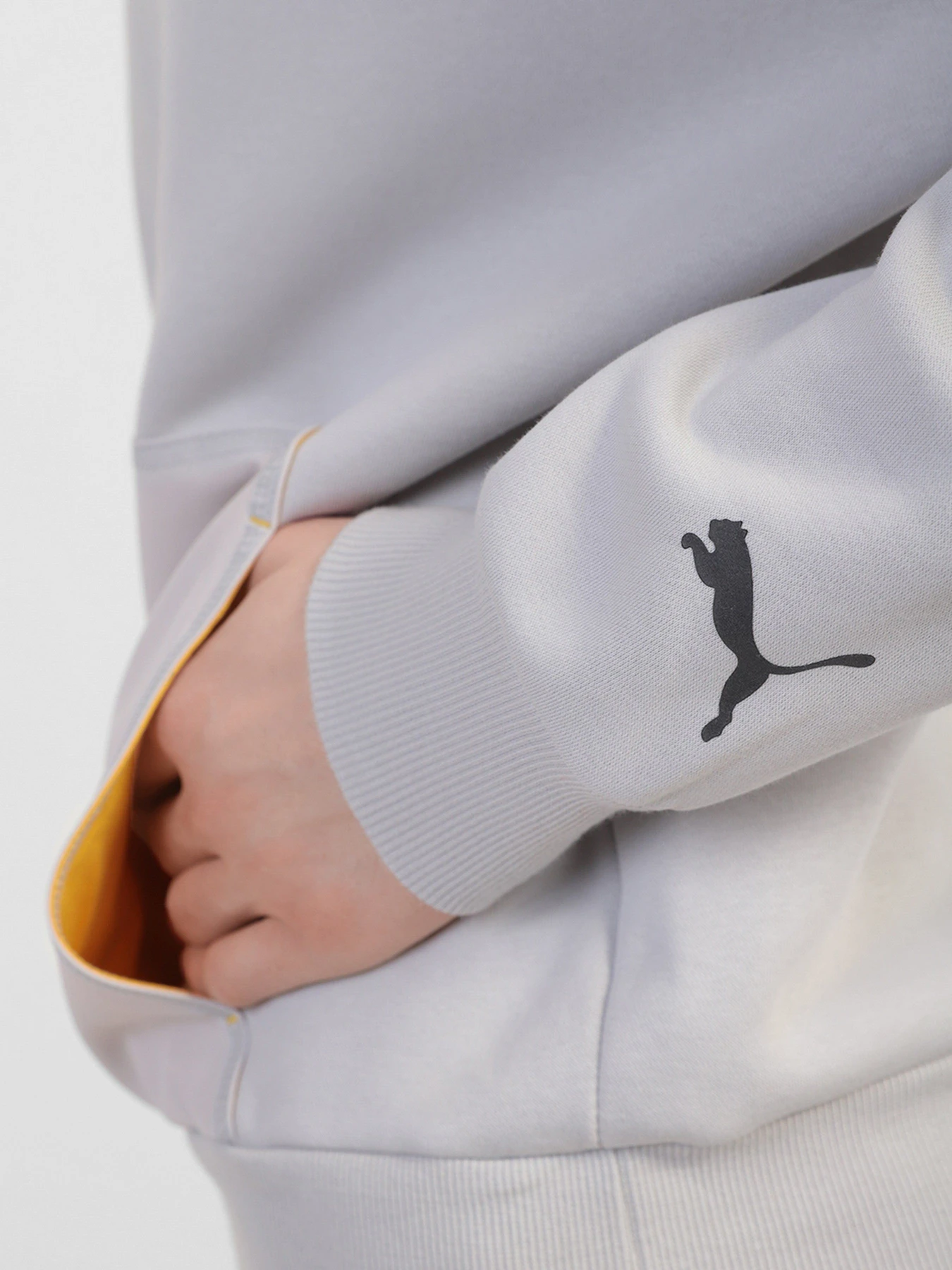 Худи и свитшоты PUMA Protec.T модель 53431909 Худи и свитшоты PUMA Protec.T модель 53431909 Фото