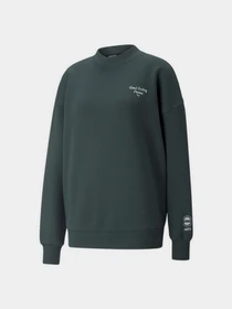 Худи и свитшоты PUMA Wellness Club модель 53432880 Фото