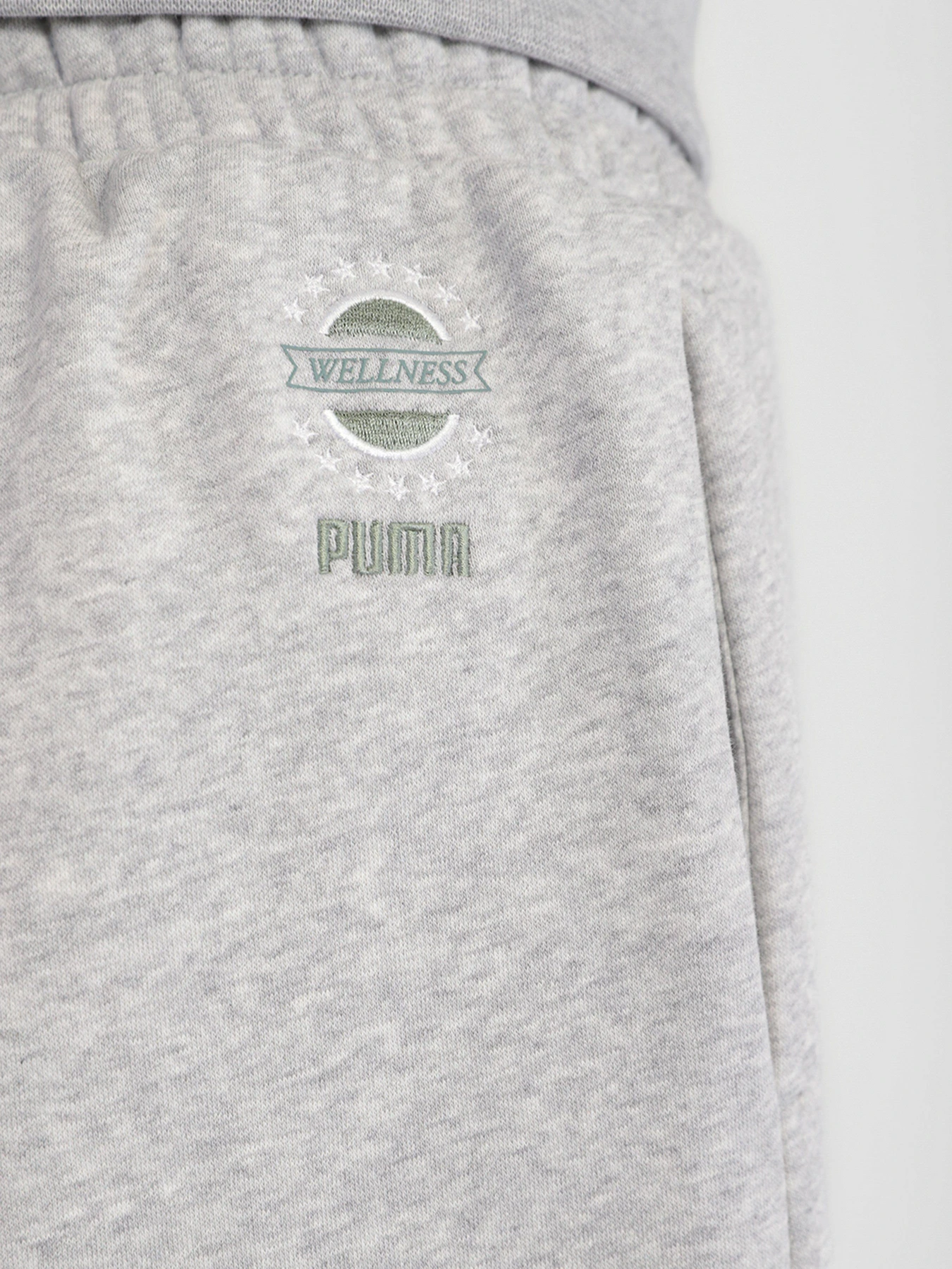 Брюки PUMA WELLNESS CLUB модель 53433004 Брюки PUMA WELLNESS CLUB модель 53433004 Фото