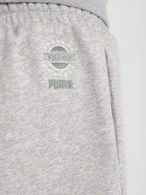 Брюки PUMA WELLNESS CLUB модель 53433004 Фото