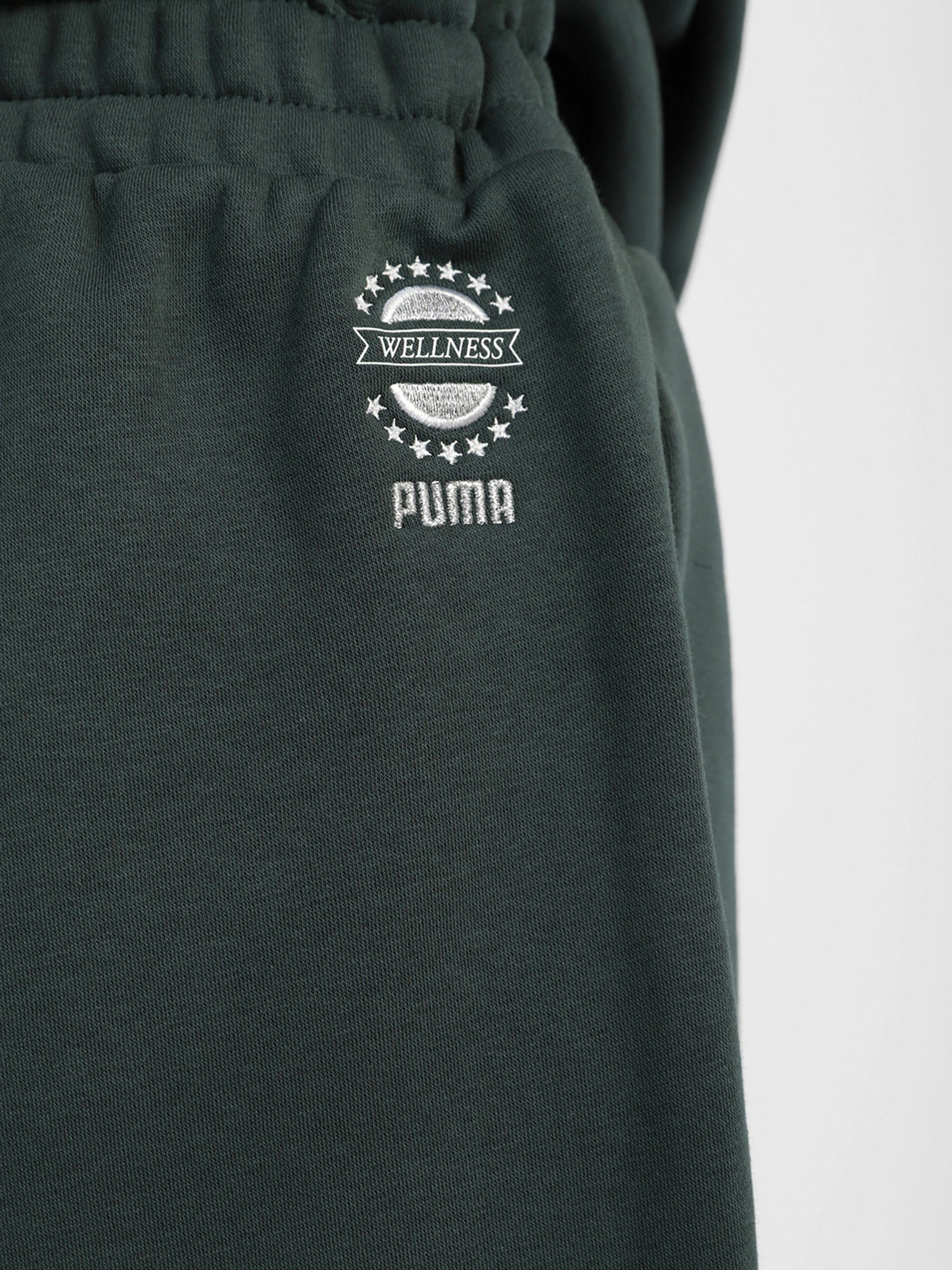 Брюки PUMA WELLNESS CLUB модель 53433080 Фото
