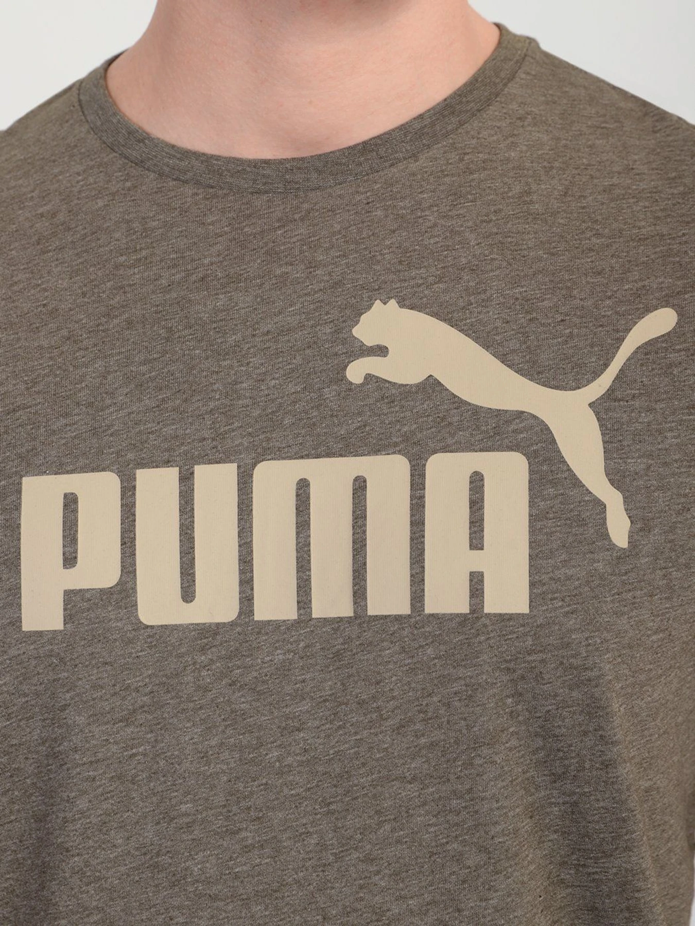 Футболки и поло PUMA ESSENTIALS HEATHER модель 58673644 Футболки и поло PUMA ESSENTIALS HEATHER модель 58673644 Фото