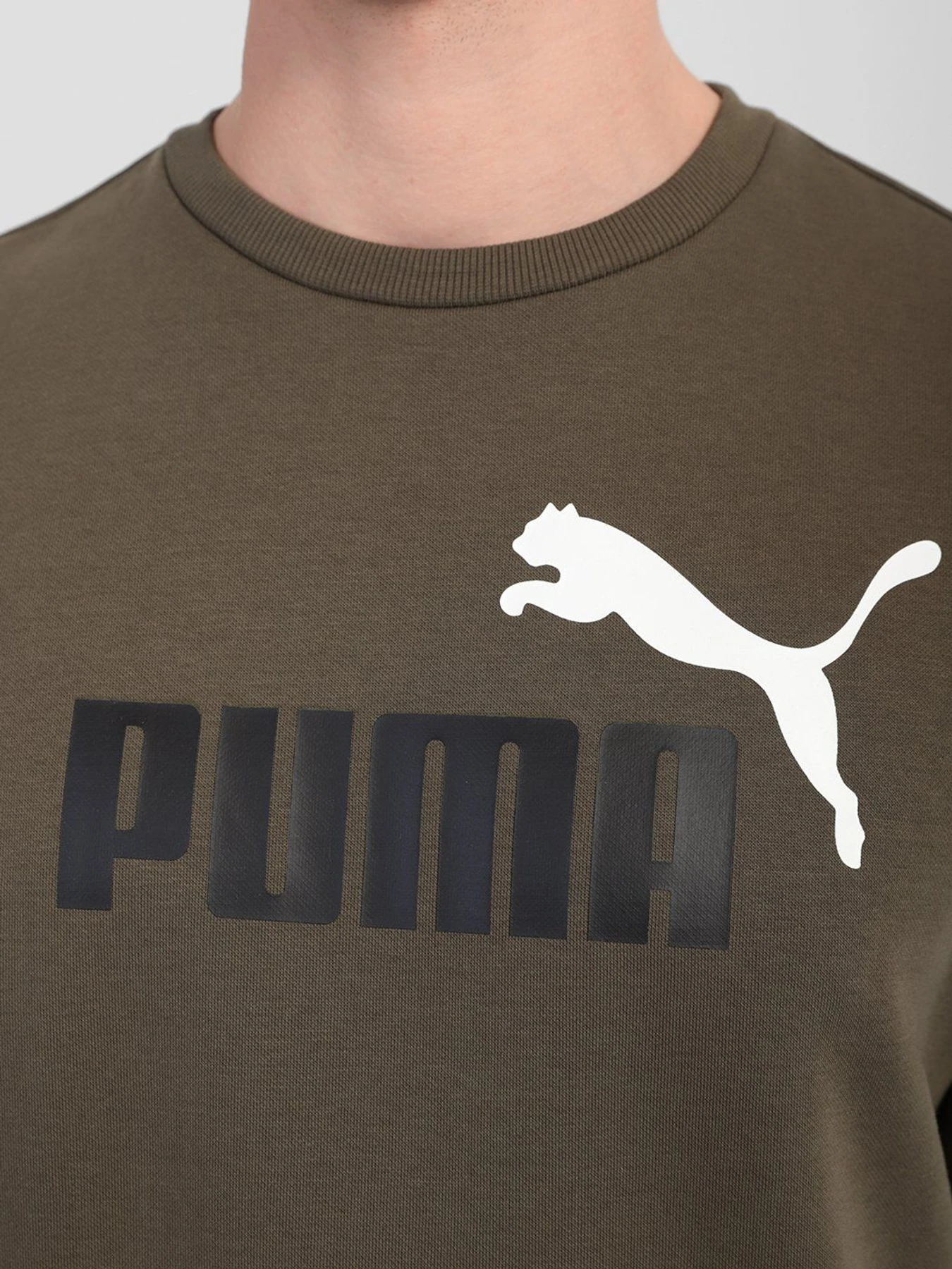 Худи и свитшоты PUMA ESSENTIALS+ TWO-TONE BIG LOGO CREW модель 58676244 Фото