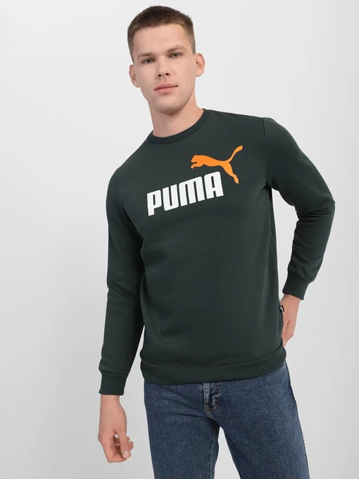 Худи и свитшоты PUMA ESSENTIALS+ TWO-TONE BIG LOGO CREW модель 58676280 Фото