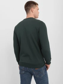 Худи и свитшоты PUMA ESSENTIALS+ TWO-TONE BIG LOGO CREW модель 58676280 Фото