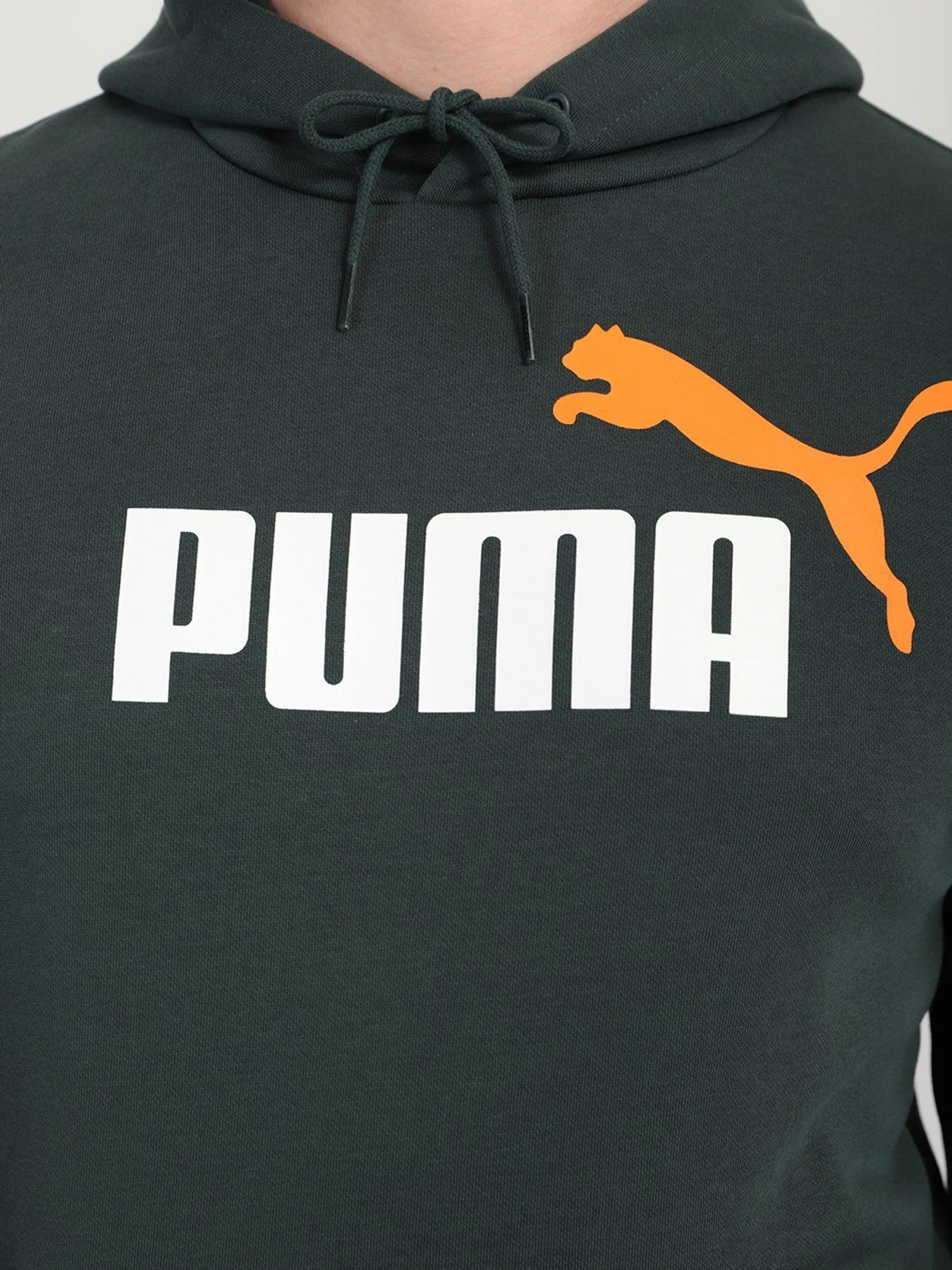 Худи и свитшоты PUMA ESSENTIALS+ TWO-TONE BIG LOGO модель 58676480 Фото