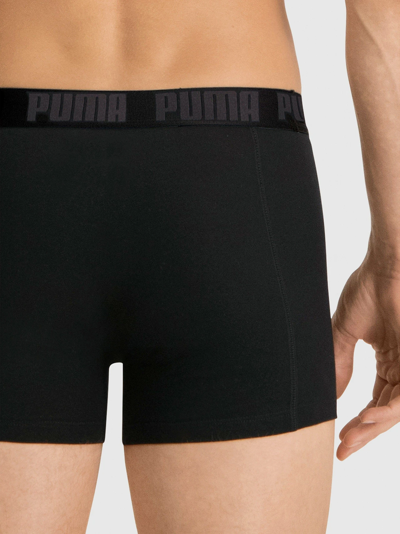 Нижнее белье PUMA Basic Boxer модель 88886958 Нижнее белье PUMA Basic Boxer модель 88886958 Фото