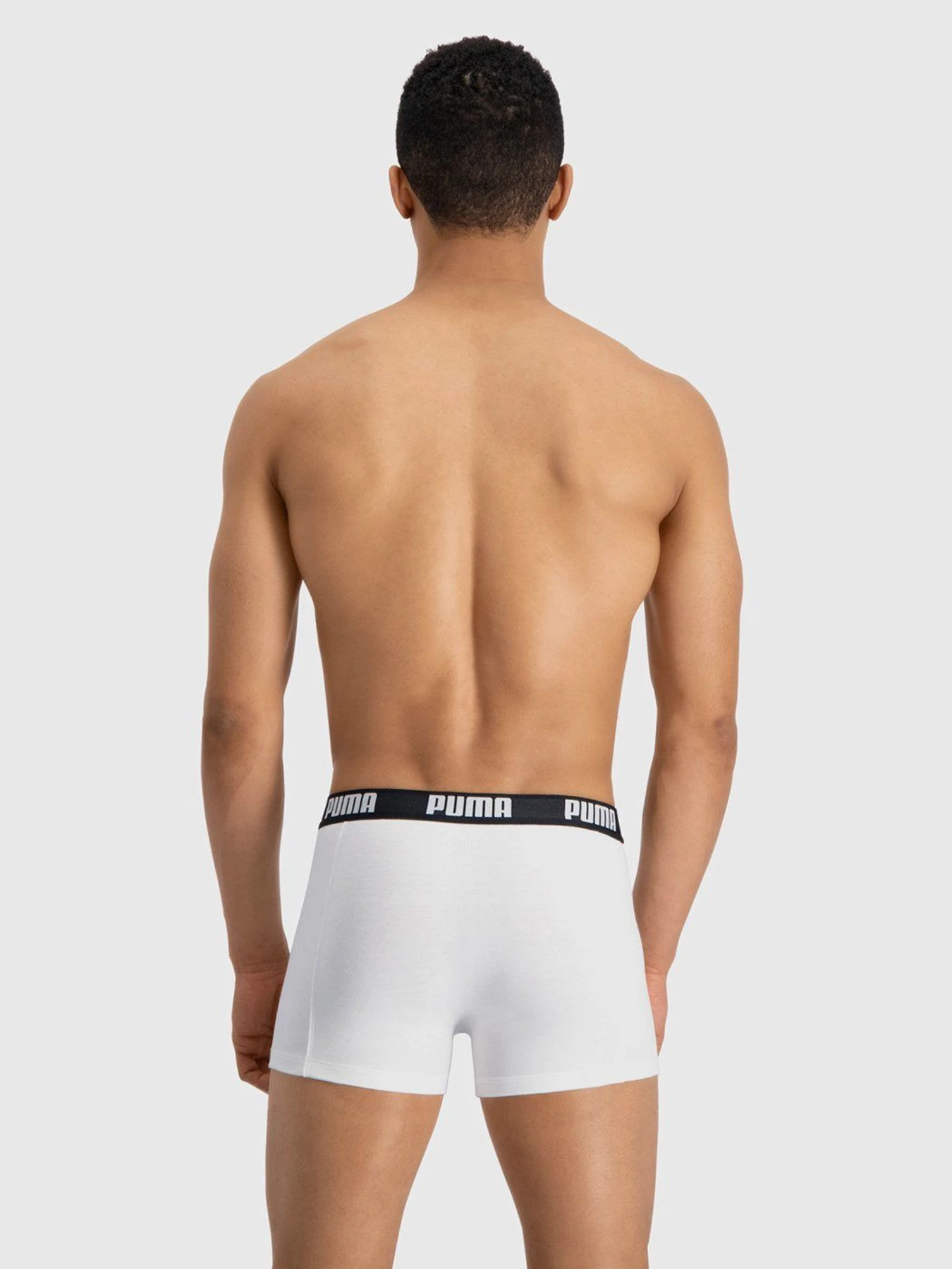 Нижнее белье PUMA Basic Boxer модель 90682307 Нижнее белье PUMA Basic Boxer модель 90682307 Фото