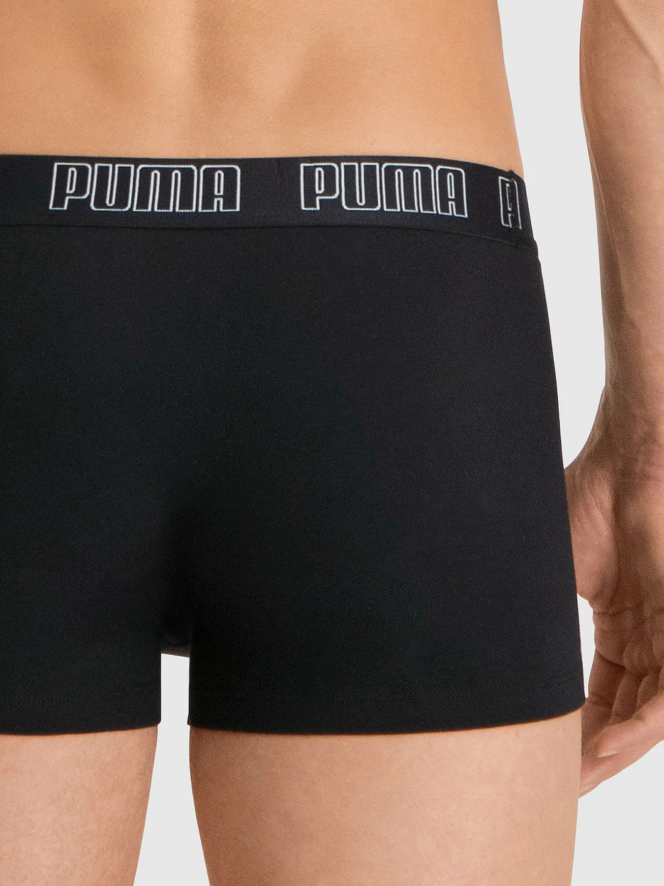 Нижнее белье PUMA Basic Boxer модель 93501501 Нижнее белье PUMA Basic Boxer модель 93501501 Фото