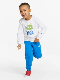 Худи и свитшоты PUMA Fruitmates модель 84731402 Фото