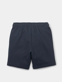 Шорты PUMA Fruitmates модель 84731543 Фото