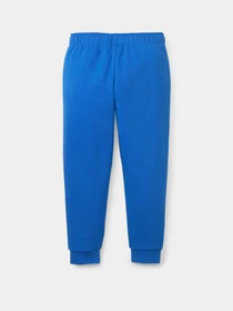 Брюки PUMA Fruitmates модель 84731767 Фото