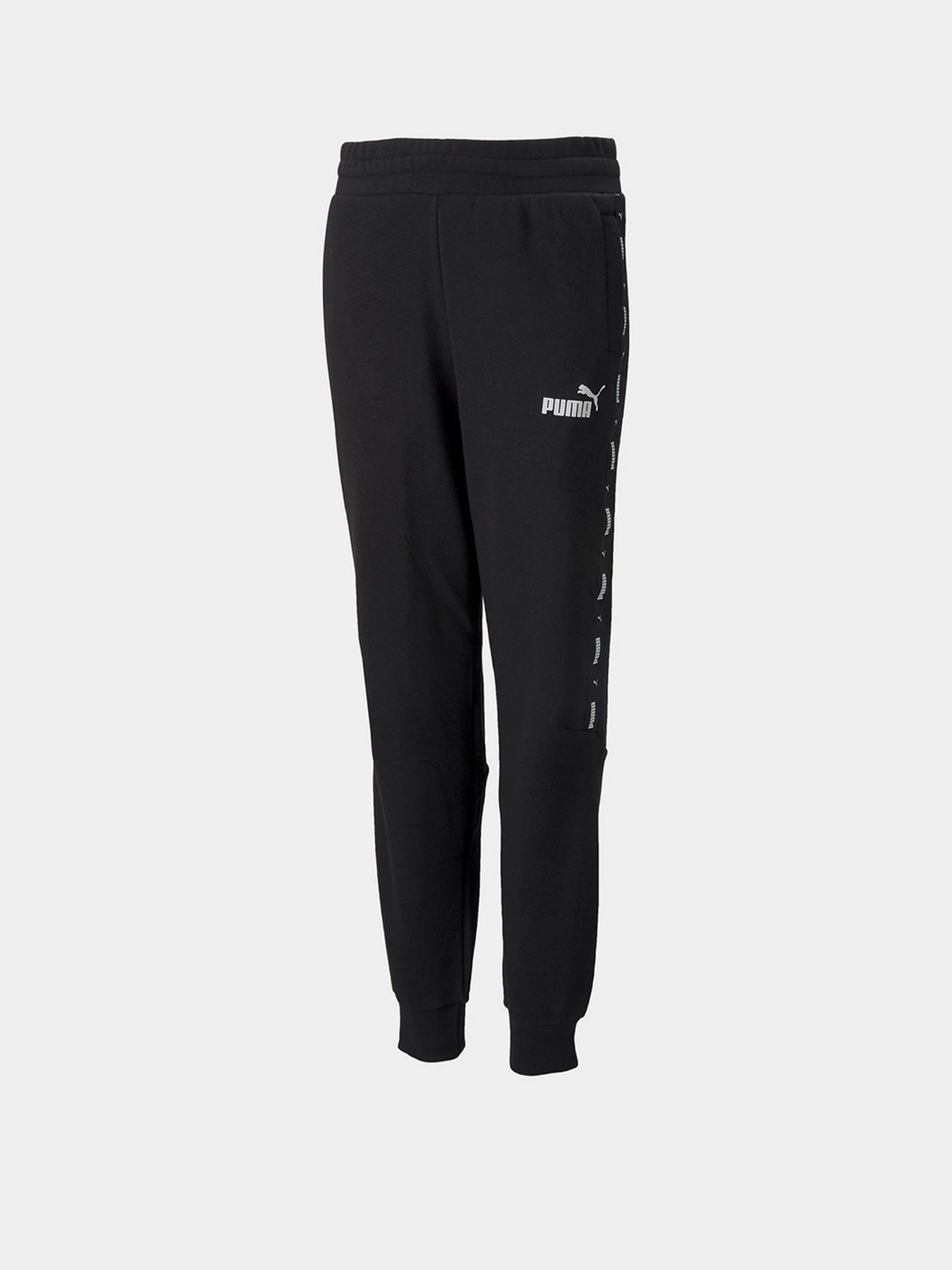 Брюки PUMA Essentials модель 84920501 Фото