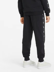 Брюки PUMA Essentials модель 84920501 Фото