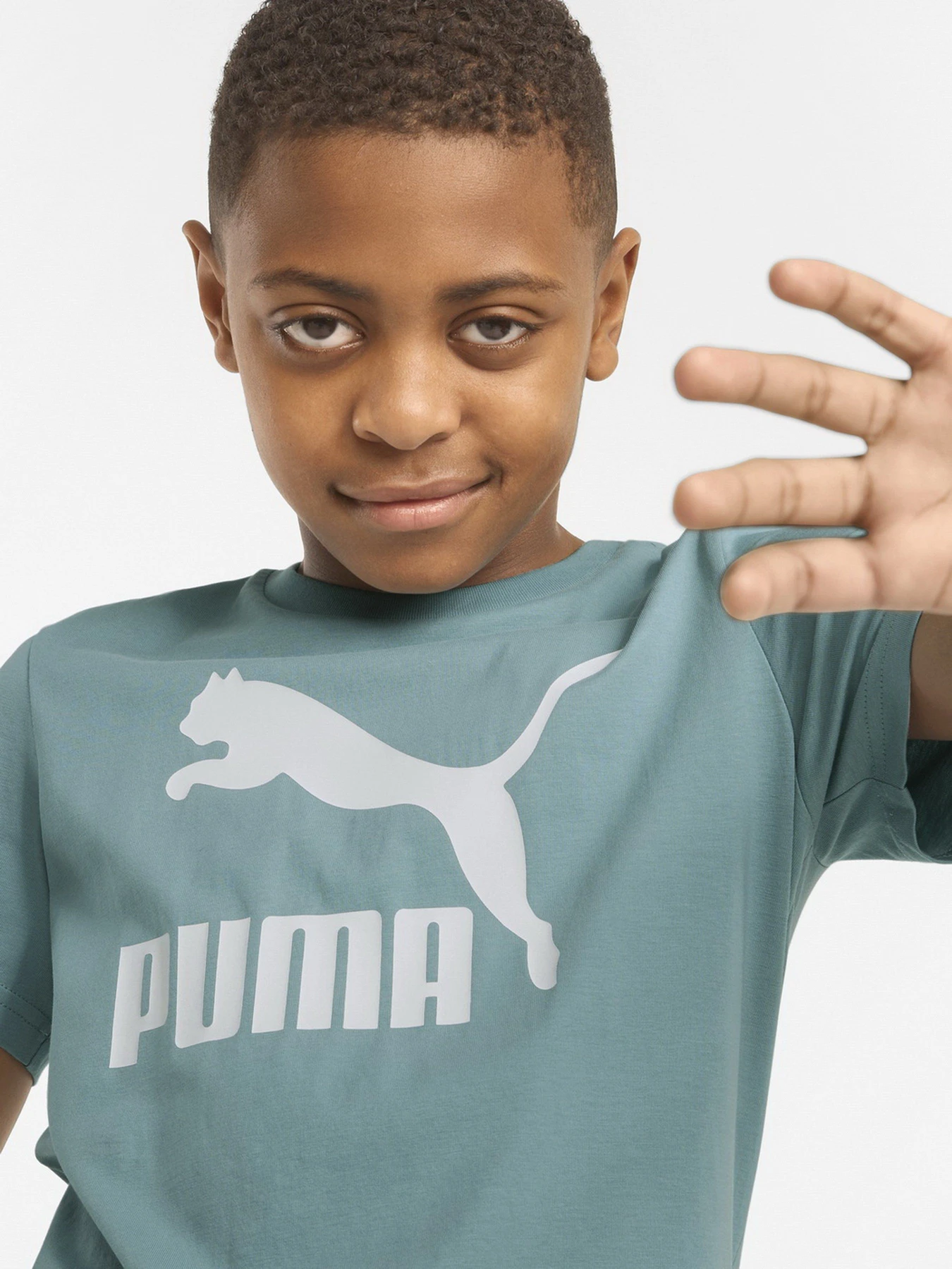 Футболки и поло PUMA Classics Tee B модель 53011550 Футболки и поло PUMA Classics Tee B модель 53011550 Фото