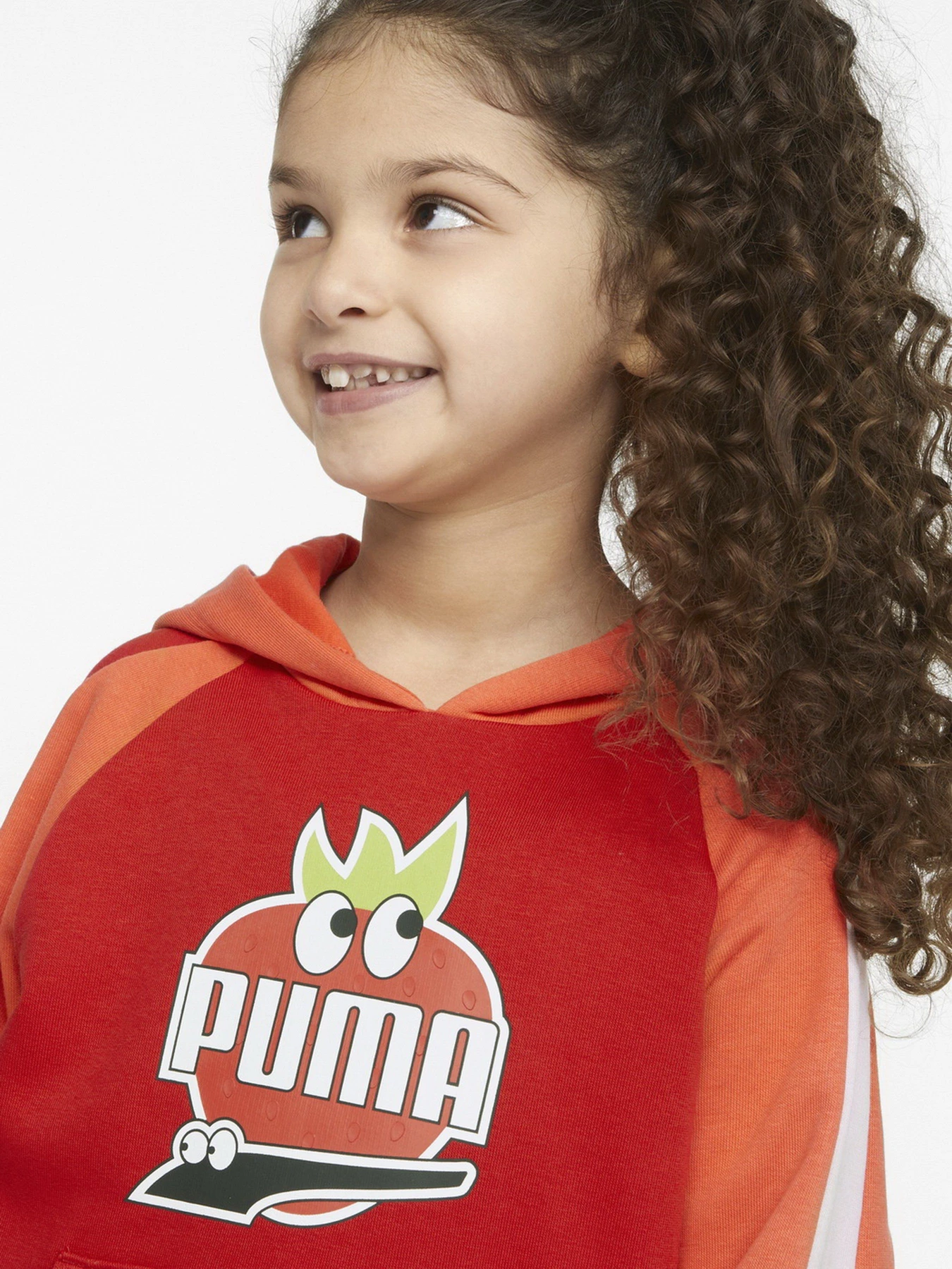 Худи и свитшоты PUMA FRUITMATES модель 53390526 Худи и свитшоты PUMA FRUITMATES модель 53390526 Фото