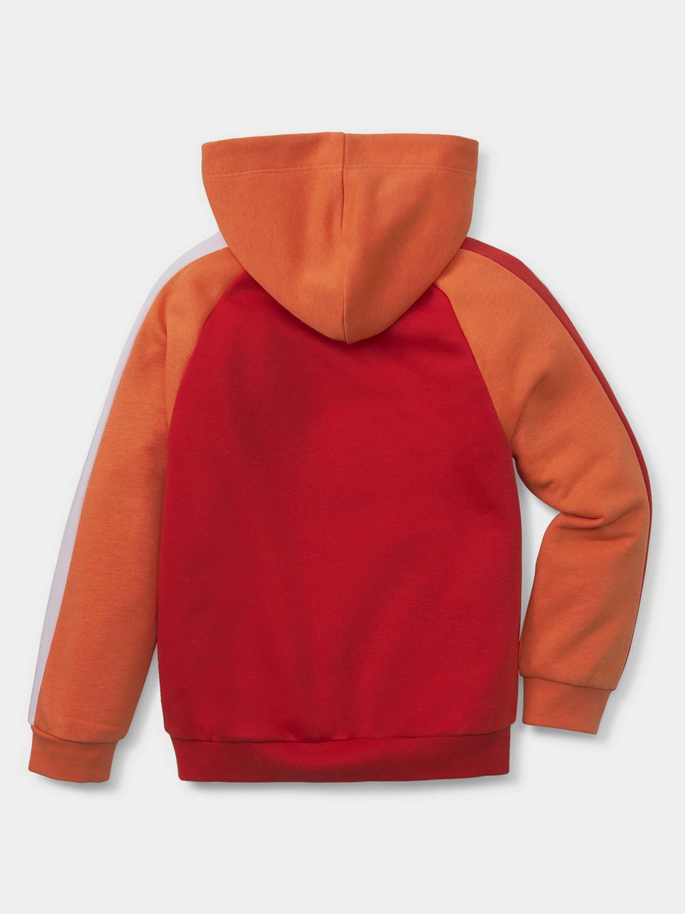Худи и свитшоты PUMA FRUITMATES модель 53390526 Худи и свитшоты PUMA FRUITMATES модель 53390526 Фото
