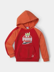 Худи и свитшоты PUMA FRUITMATES модель 53390526 Фото