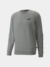 Худи и свитшоты PUMA Essentials+ модель 84738403 Фото