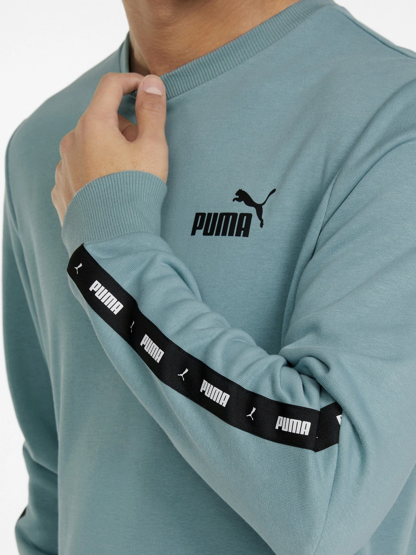 Худи и свитшоты PUMA Essentials+ модель 84738450 Худи и свитшоты PUMA Essentials+ модель 84738450 Фото