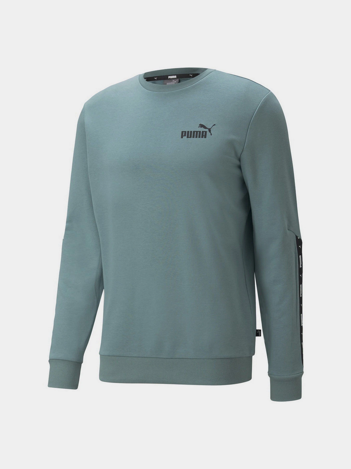Худи и свитшоты PUMA Essentials+ модель 84738450 Худи и свитшоты PUMA Essentials+ модель 84738450 Фото