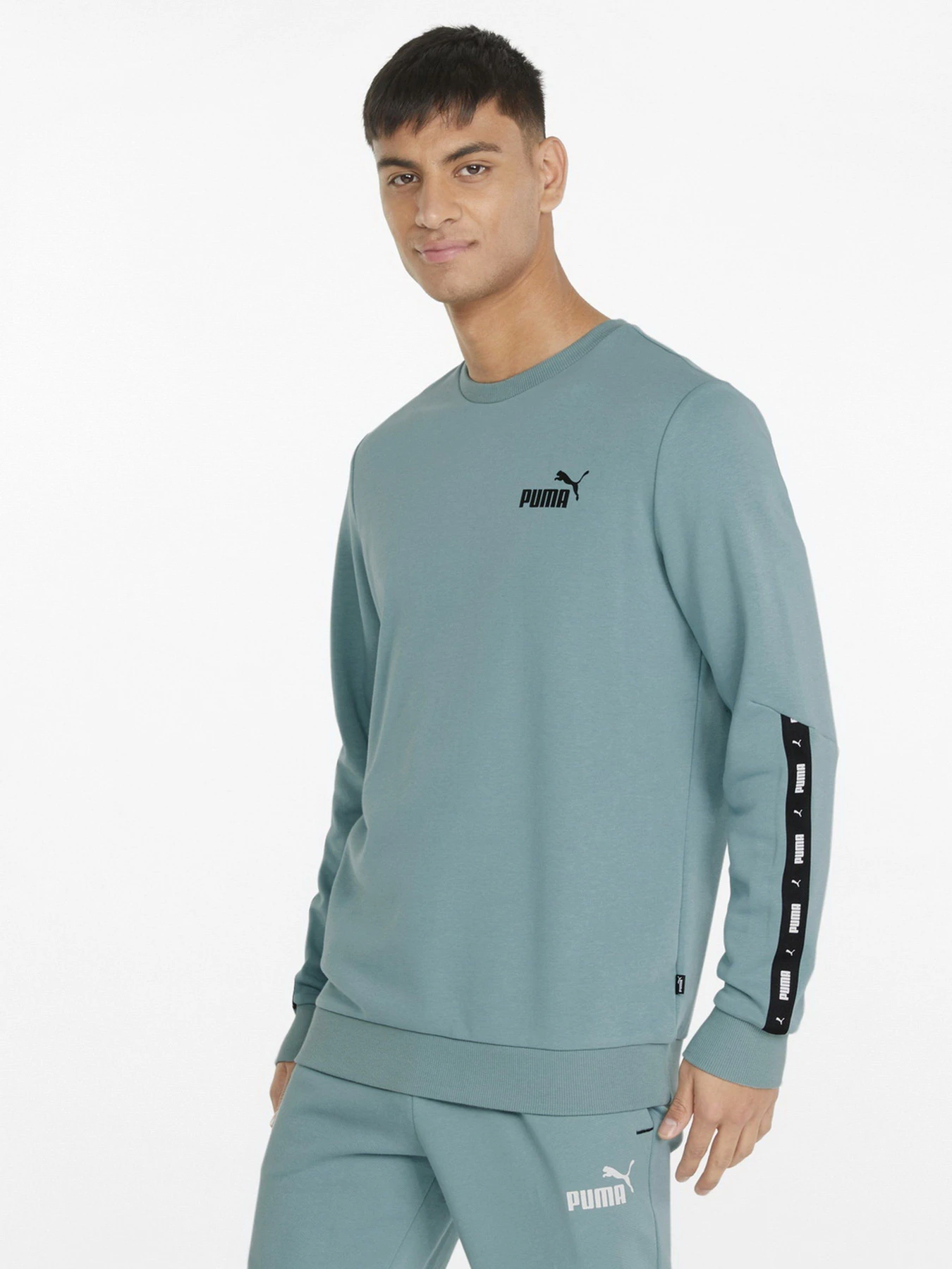 Худи и свитшоты PUMA Essentials+ модель 84738450 Худи и свитшоты PUMA Essentials+ модель 84738450 Фото