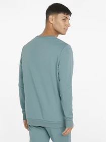 Худи и свитшоты PUMA Essentials+ модель 84738450 Фото