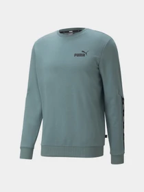 Худи и свитшоты PUMA Essentials+ модель 84738450 Фото