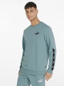 Худи и свитшоты PUMA Essentials+ модель 84738450 Фото