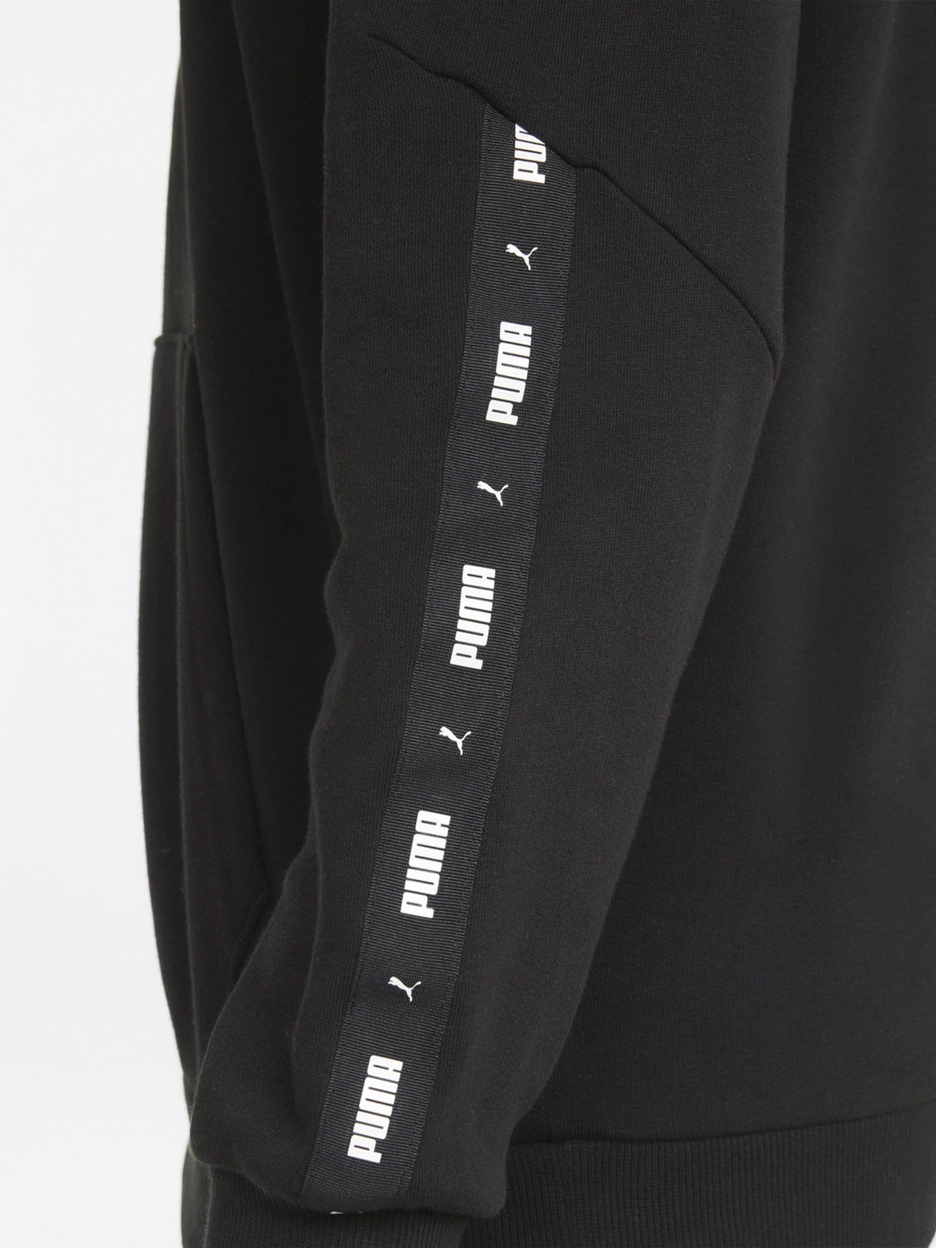 Худі та світшоти PUMA Essentials+ модель 84738501 Худі та світшоти PUMA Essentials+ модель 84738501 Фото