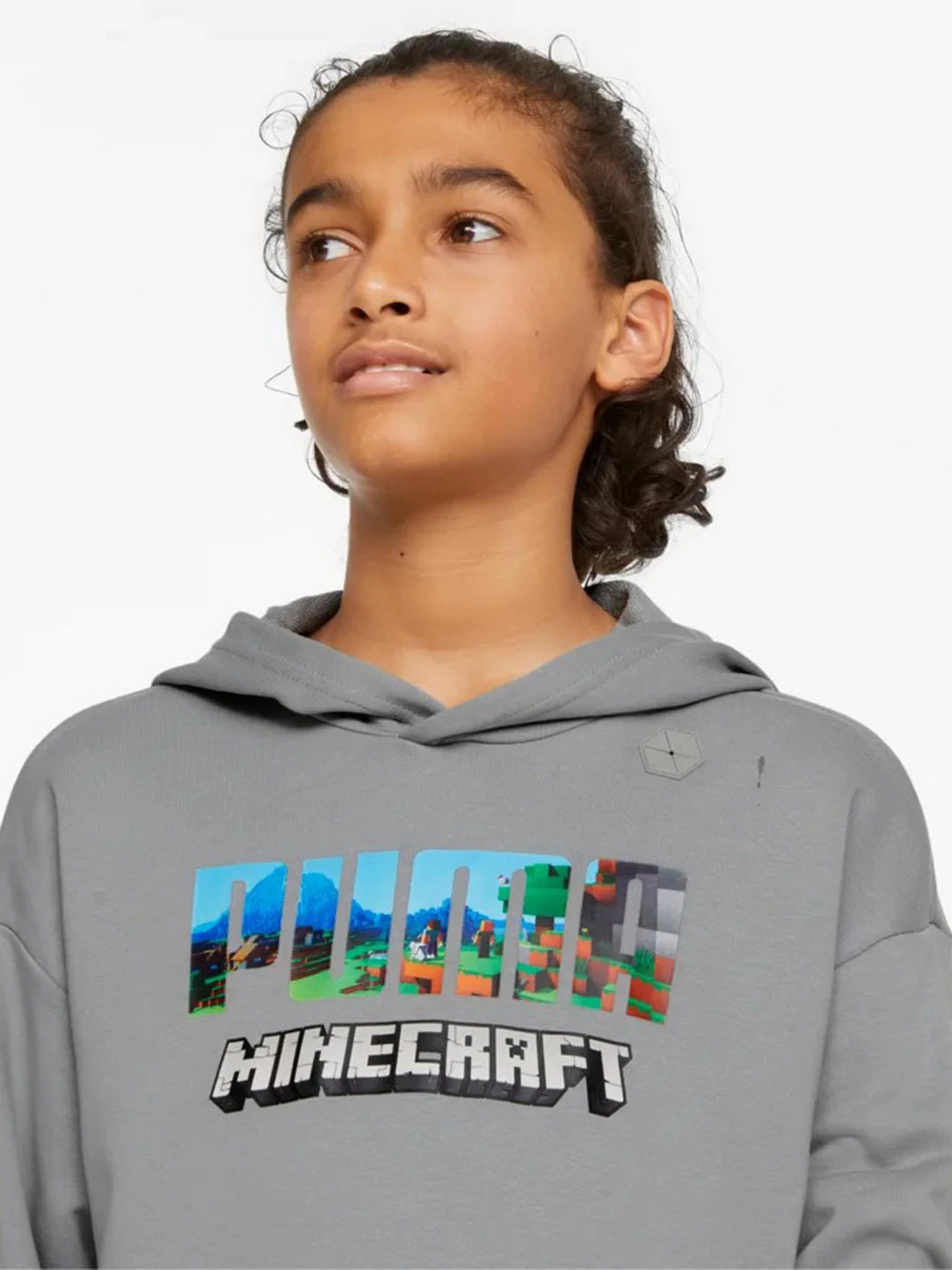 Худи и свитшоты PUMA x Minecraft модель 53343676 Худи и свитшоты PUMA x Minecraft модель 53343676 Фото