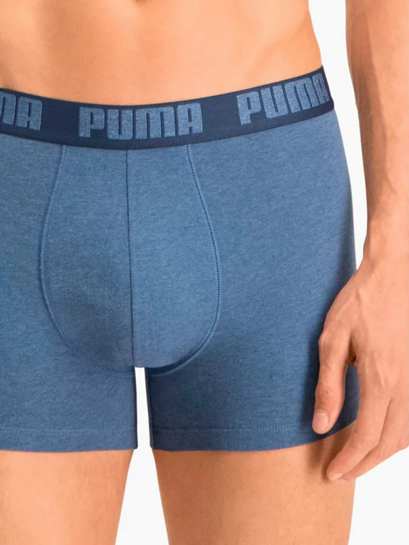 Нижнее белье PUMA Basic Boxer модель 90682336 Нижнее белье PUMA Basic Boxer модель 90682336 Фото