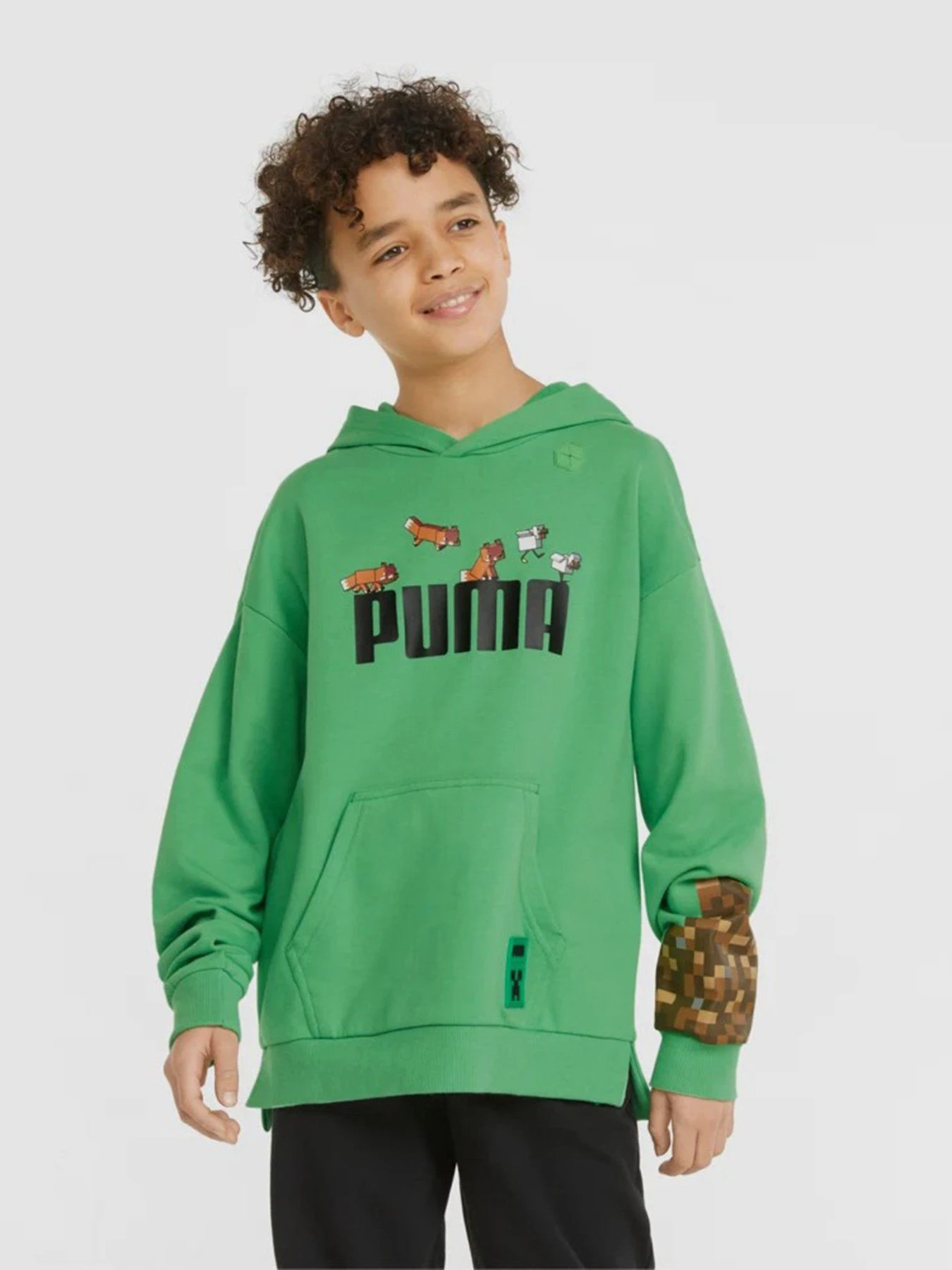 Худи и свитшоты PUMA x Minecraft модель 53343687 Худи и свитшоты PUMA x Minecraft модель 53343687 Фото