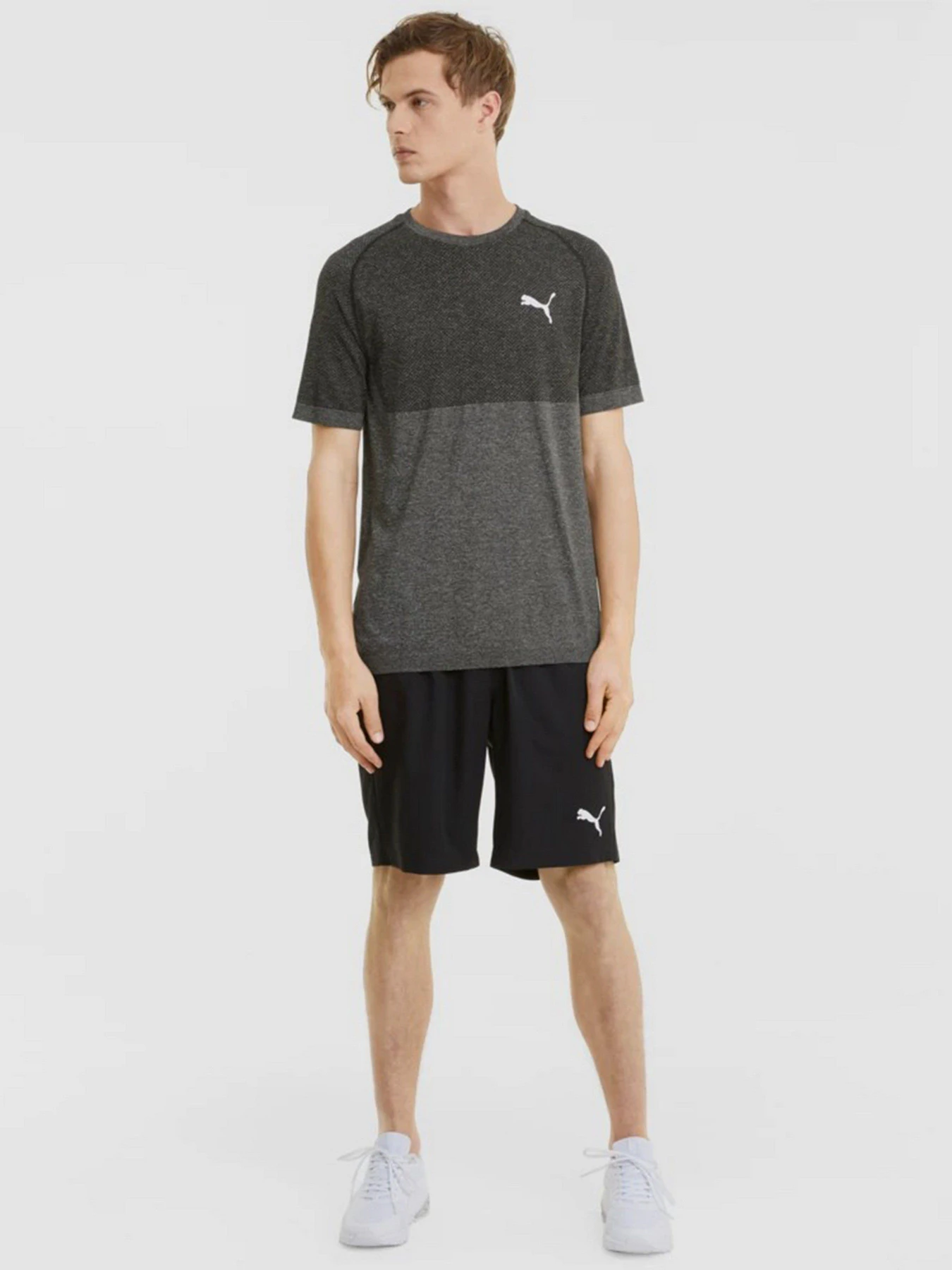 Футболки и поло PUMA evoKNIT RTG Basic модель 58582801 Футболки и поло PUMA evoKNIT RTG Basic модель 58582801 Фото